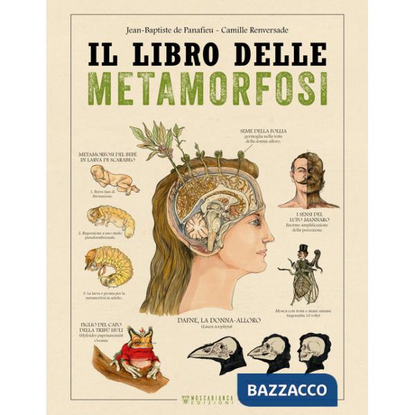 Libro delle metamorfosi (Il)