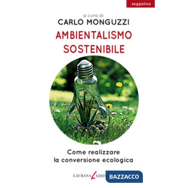 Ambientalismo sostenibile. Come realizzare la conversione ecologica