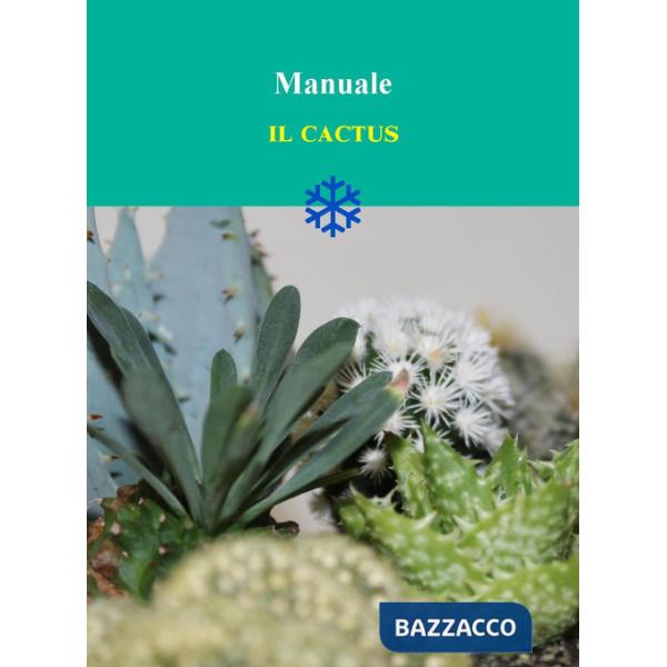 Cactus (Il)