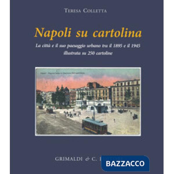 Napoli su cartolina. La città e il suo paesaggio urbano tra il 1895 e 1940 illustrata su 250 cartoline «viaggiate». Ediz. illust