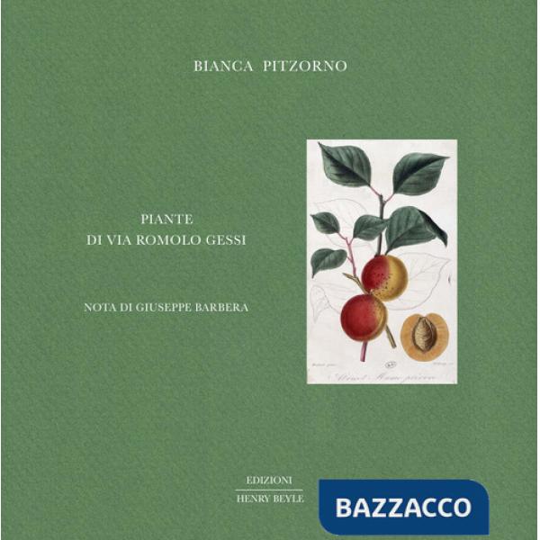 Piante di via Romolo Gessi