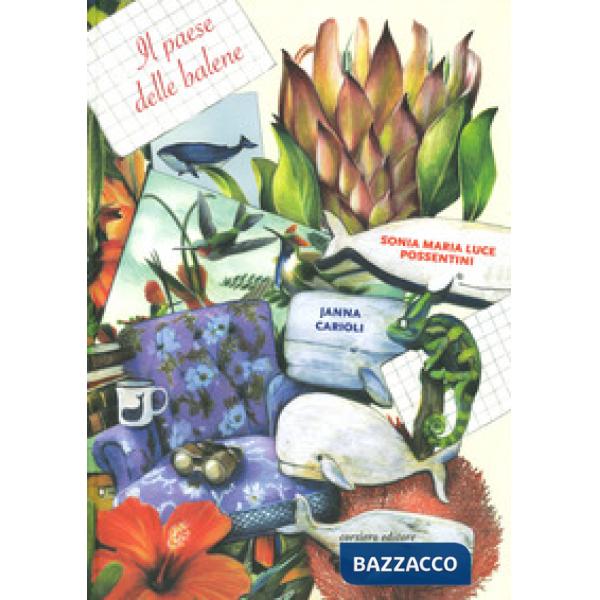 Paese delle balene. Ediz. a colori (Il)