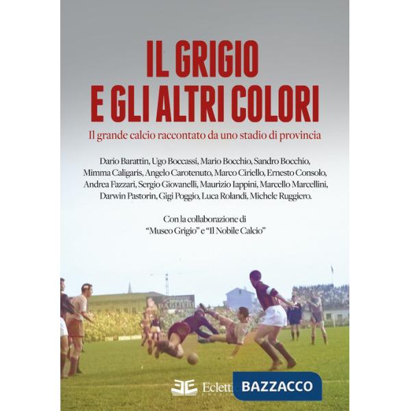 Grigio e gli altri colori. Il grande calcio raccontato da uno stadio di provincia. Ediz. a colori (Il)