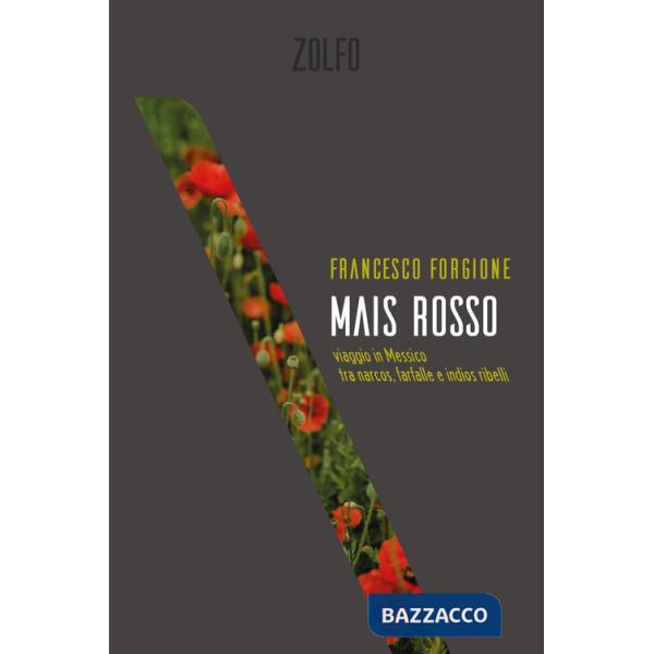 Mais rosso. Viaggio in Messico tra narcos, farfalle e indios ribelli