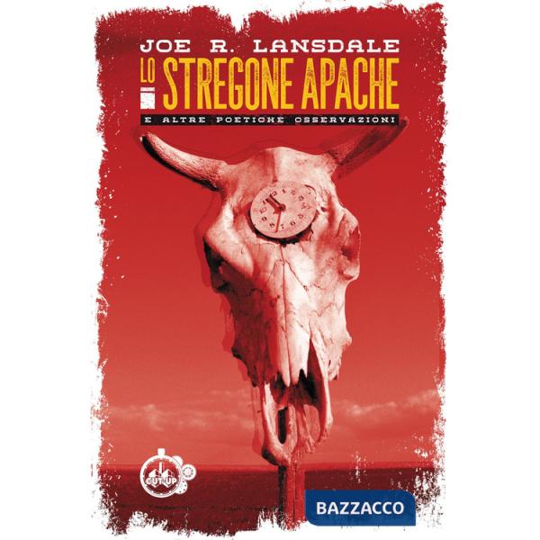 Stregone apache e altre poetiche osservazioni (Lo)