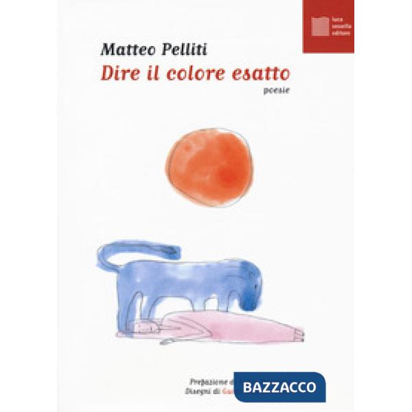 Dire il colore esatto