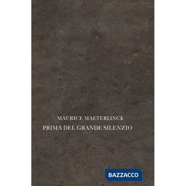 Prima del grande silenzio