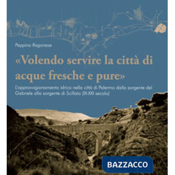«Volendo servire la città di acque fresche e pure». L'approvvigionamento idrico nella città di Palermo dalla sorgente del Gabrie