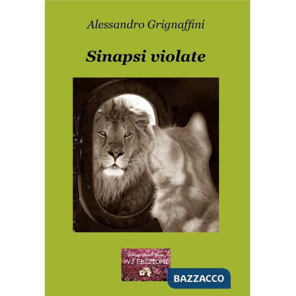 Sinapsi violate. La mutevole instabilità della ragione