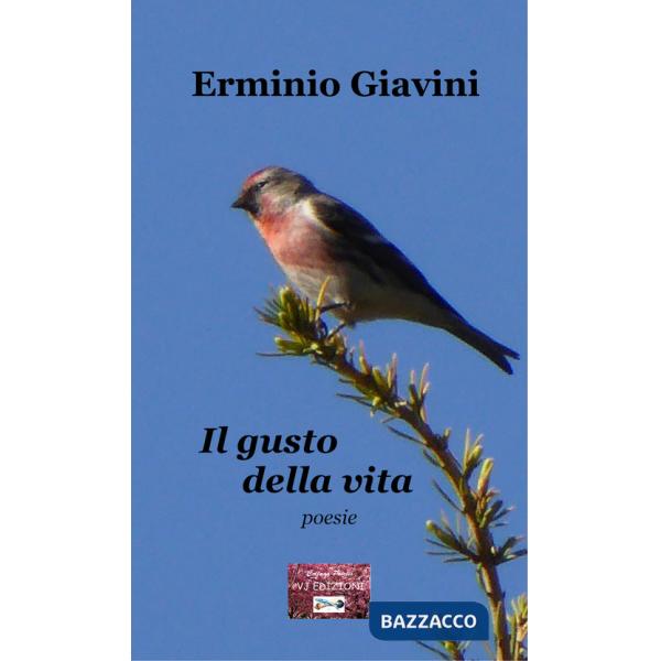 Gusto della vita (Il)