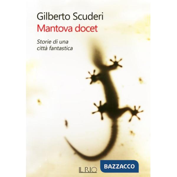 Mantova docet. Storie di una città fantastica