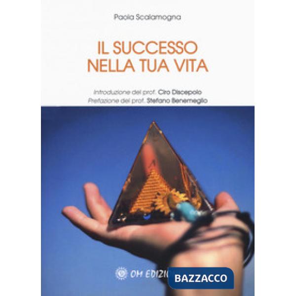 Successo nella tua vita (Il)