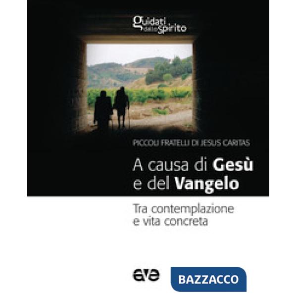A causa di Gesù e del Vangelo. Tra contemplazione e vita concreta