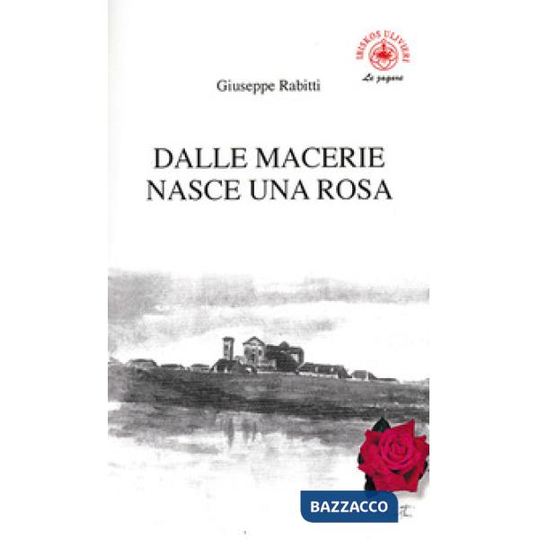 Dalle macerie nasce una rosa