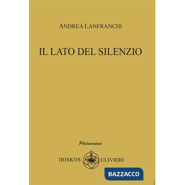 Lato del silenzio (Il)