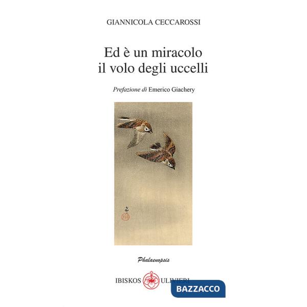 Ed è un miracolo il volo degli uccelli