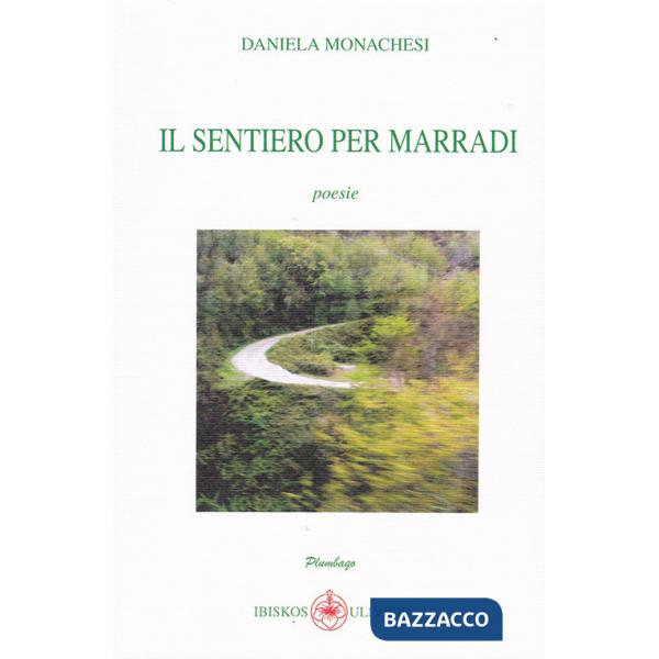 Sentiero per Marradi (Il)
