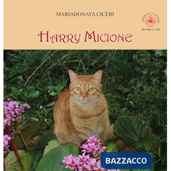 Harry micione