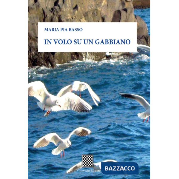 In volo su un gabbiano