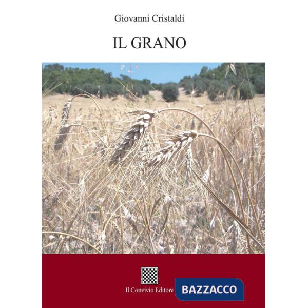 Grano (Il)