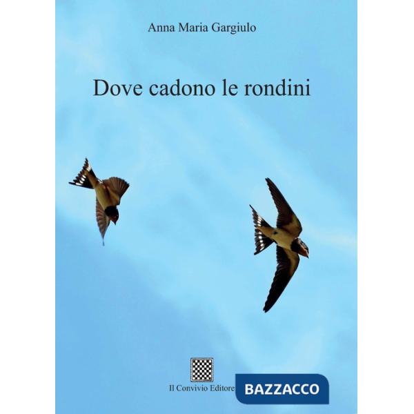 Dove cadono le rondini