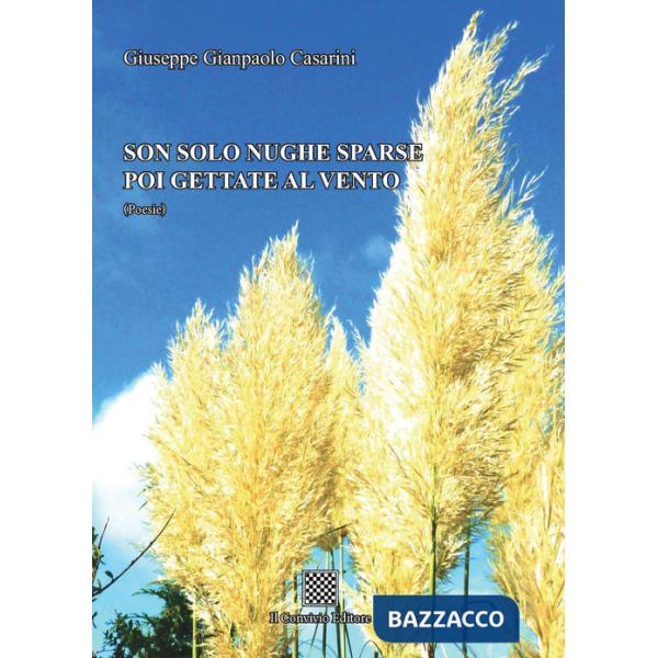 Son solo nughe sparse poi gettate al vento