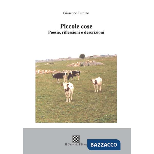 Piccole cose. Poesie, riflessioni e descrizioni