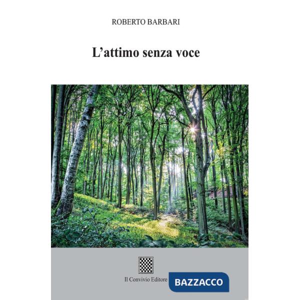 Attimo senza voce (L')