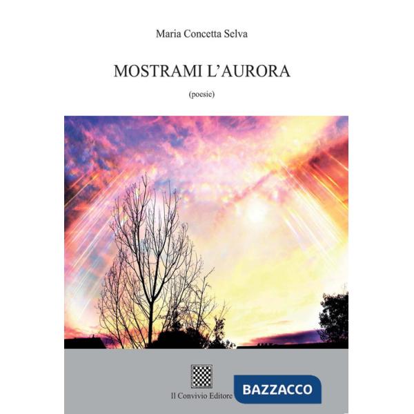 Mostrami l'aurora