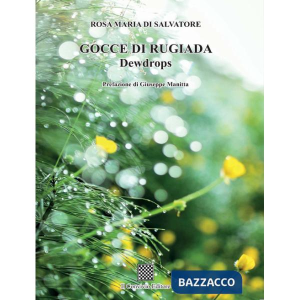 Gocce di rugiada. Dewdrops