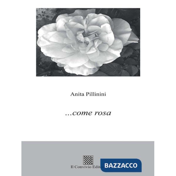 ... come rosa