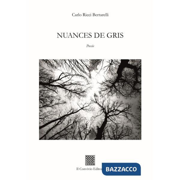 Nuances de gris
