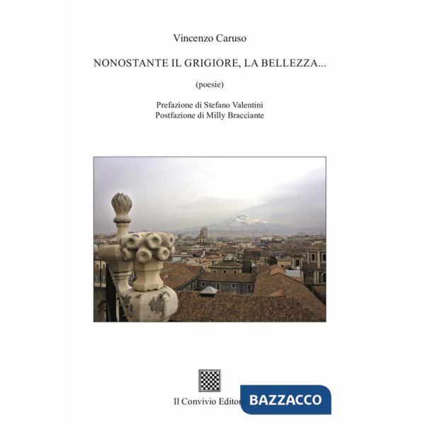 Nonostante il grigiore, la bellezza...