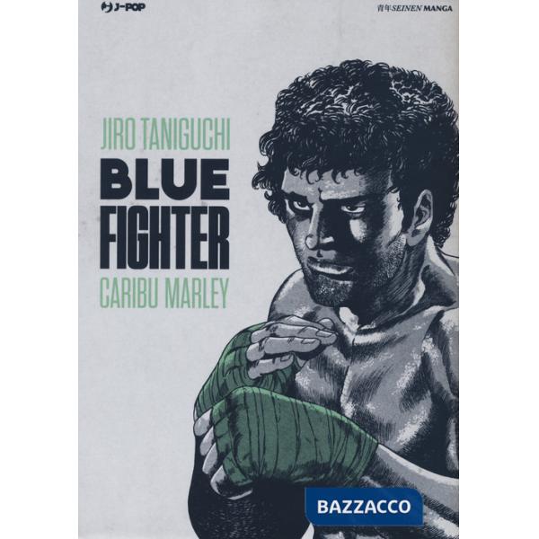 Blue fighter
