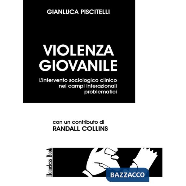 Violenza giovanile. L'intervento sociologico clinico nei campi interazionali problematici