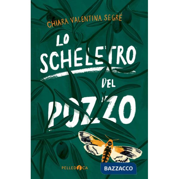 Scheletro del pozzo (Lo)