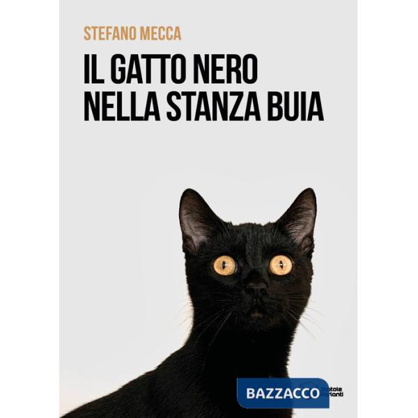 Gatto nero nella stanza buia (Il)