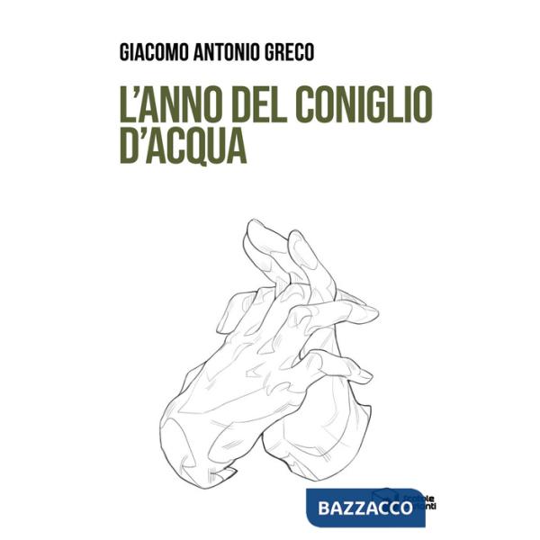 Anno del coniglio d'acqua (L')