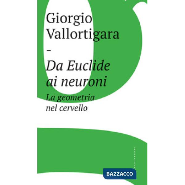 Da Euclide ai neuroni. La geometria nel cervello