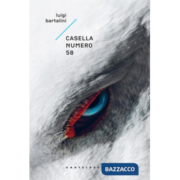 Casella numero 58
