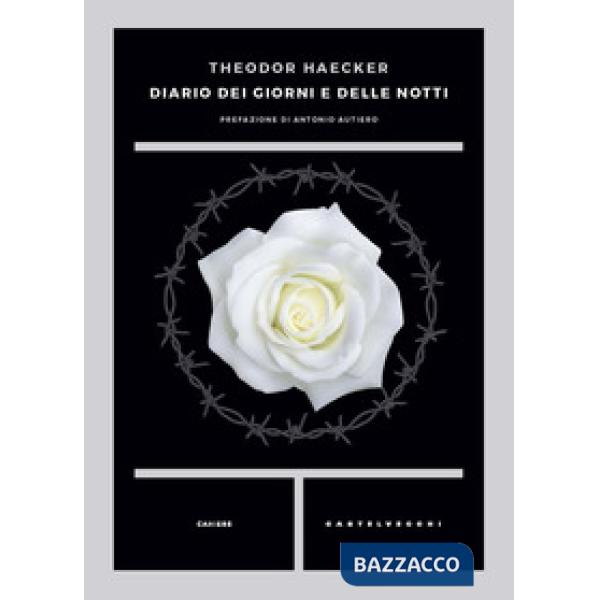 Diario dei giorni e delle notti