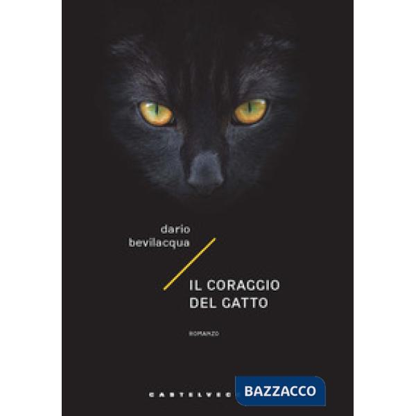 Coraggio del gatto