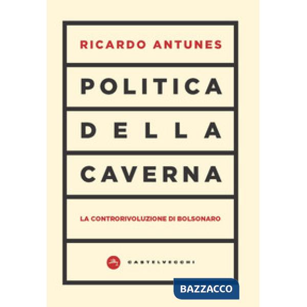 Politica della caverna