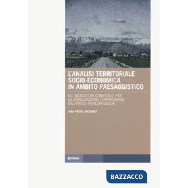 Analisi territoriale socio-economica in ambito paesaggistico. Gli indicatrori compositi per la zonizzazione territoriale del Fri