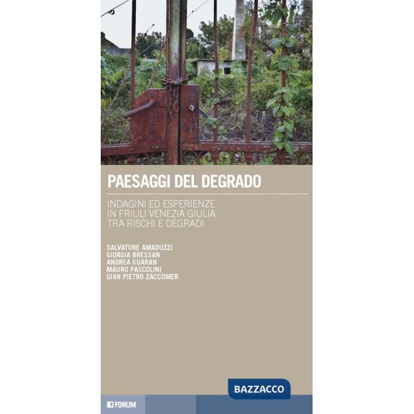Paesaggi del degrado. Indagini ed esperienze in Friuli Venezia Giulia tra rischi e degradi