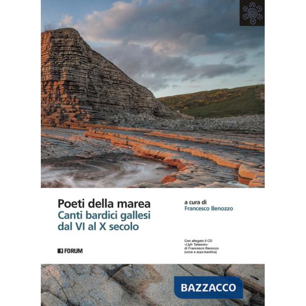 Poeti della marea. Canti bardici gallesi dal VI al X secolo. Con "Llyfr Taliesin"