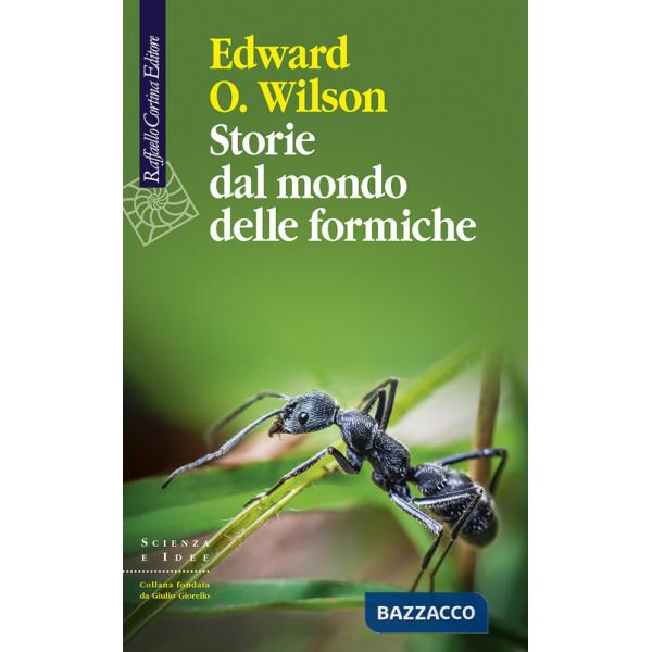 Storie dal mondo delle formiche