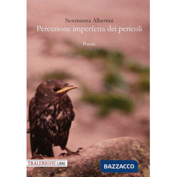 Percezione imperfetta dei pericoli