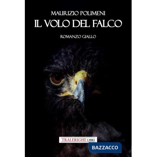 Volo del falco (Il)