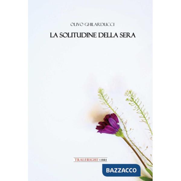 Solitudine della sera (La)